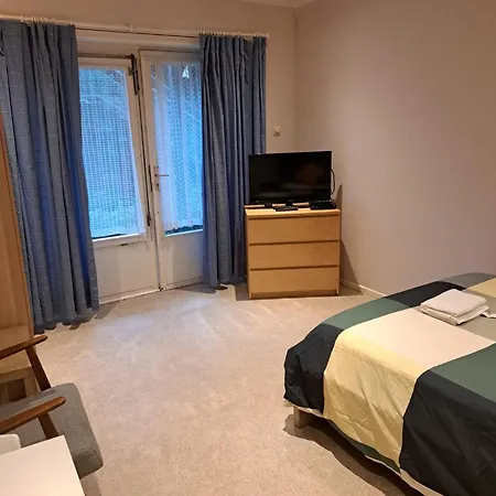 Rachel Shape * 몽스