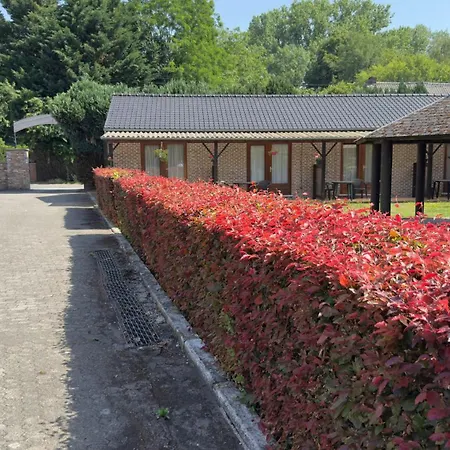 Rachel Shape * Монс