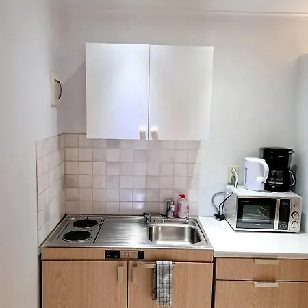 Rachel Shape Монс