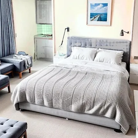 Rachel Shape * 몽스