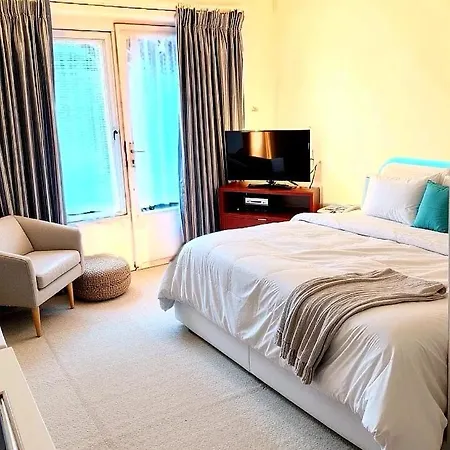 Rachel Shape Монс