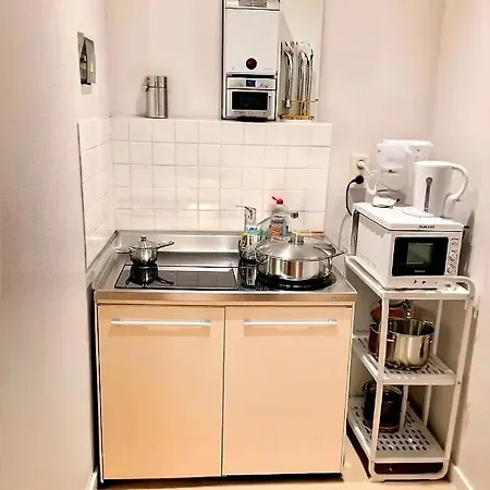 Rachel Shape * 몽스