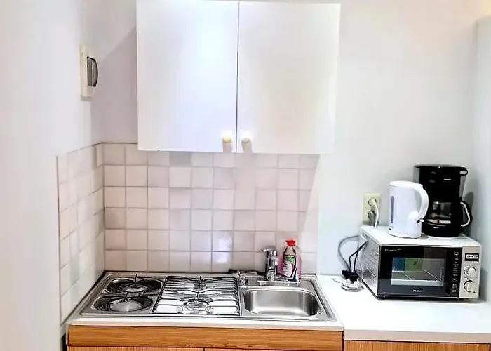 Rachel Shape * 蒙斯