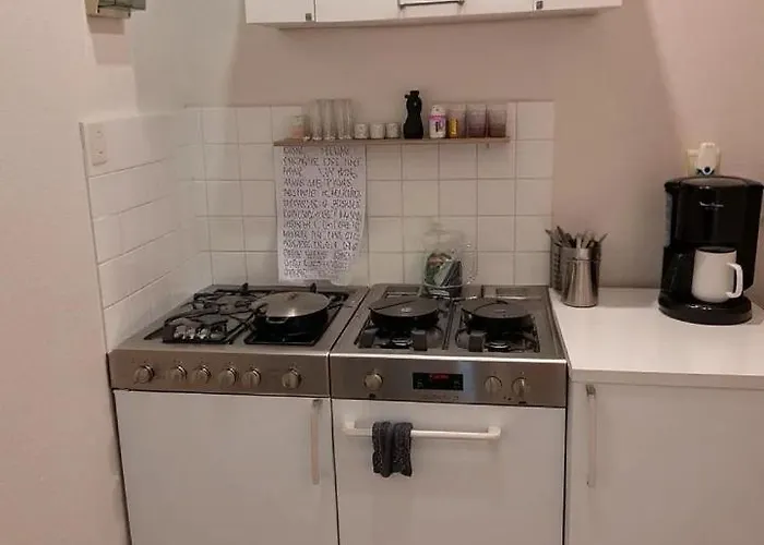 Rachel Shape * מונס