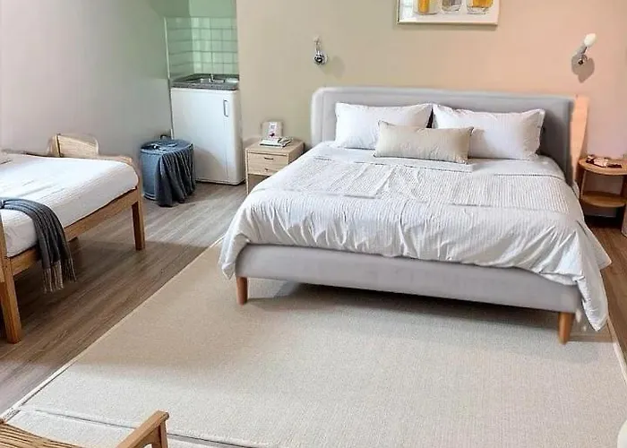 Rachel Shape מונס